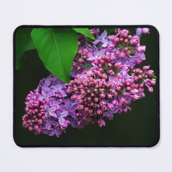 Item preview, Focus On Lilac Flower Buds designed and sold by Deb Oppermann.