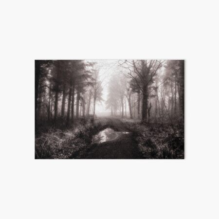 Water in the woods Art Board Print