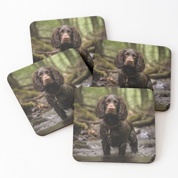 Item preview, American Water Spaniel in a River designed and sold by Samuelsboro.