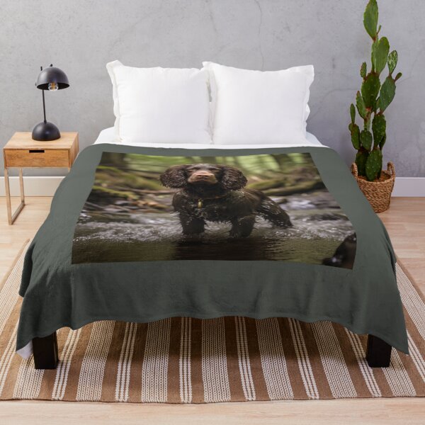 Item preview, American Water Spaniel in a River designed and sold by Samuelsboro.