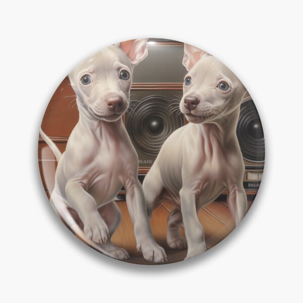 Item preview, Arte de los terriers americanos sin pelo (Diseño 2) designed and sold by Samuelsboro.