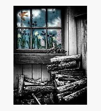 The Woodpile Photographic Print