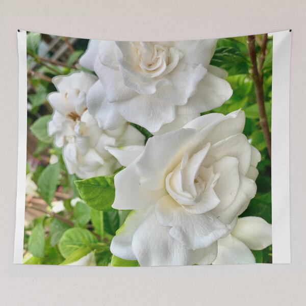 Item preview, Gardenia flower  designed and sold by baksuart.