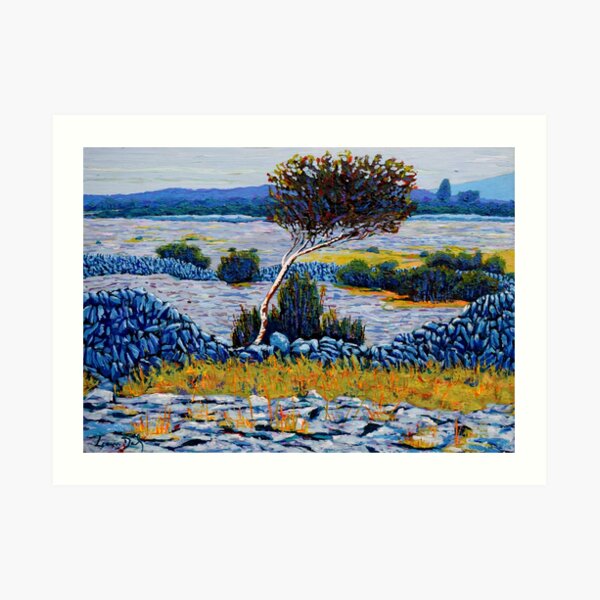 Burren Tree, County Clare Ireland Art Print
