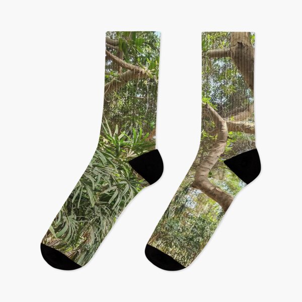 Item preview, Vintage  trees with green leafy. designed and sold by DaliaSabryTee.