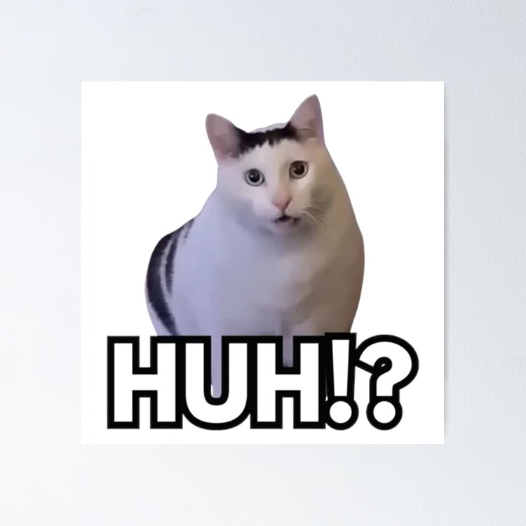 Huh Cat Meme Sticker