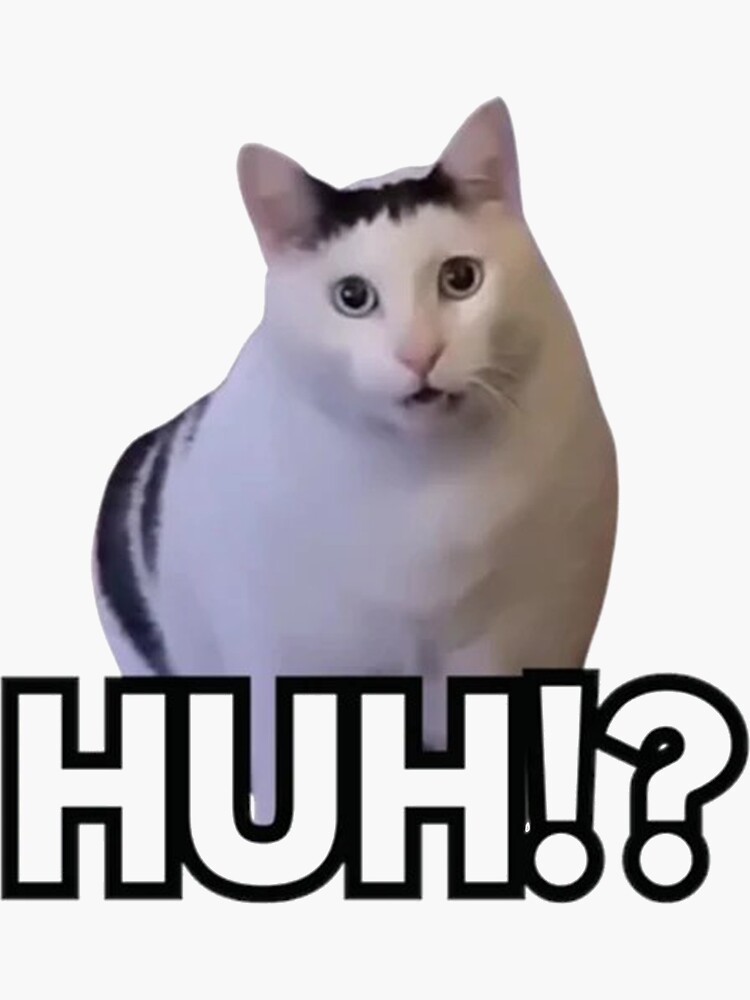 Huh Cat Meme Sticker