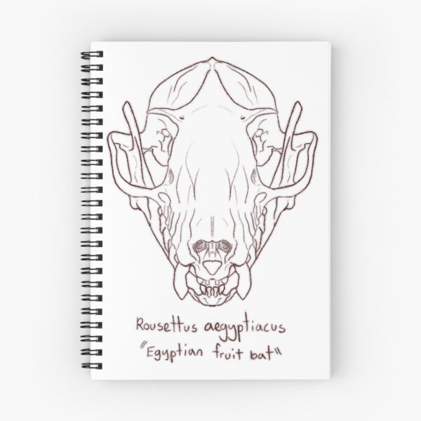 Item preview, Egyptian Fruit Bat Skull designed and sold by GrilledRetro.