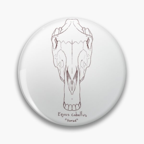 Item preview, Horse skull designed and sold by GrilledRetro.