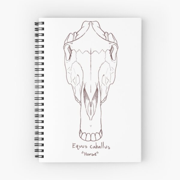Item preview, Horse skull designed and sold by GrilledRetro.