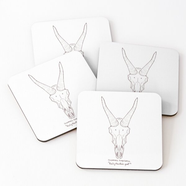 Item preview, Rocky Mountain goat skull designed and sold by GrilledRetro.