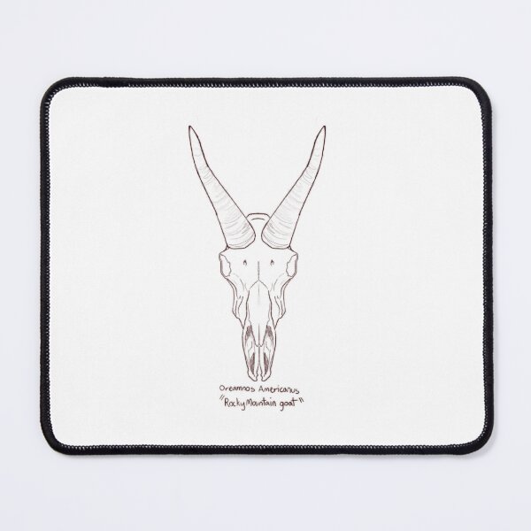 Item preview, Rocky Mountain goat skull designed and sold by GrilledRetro.