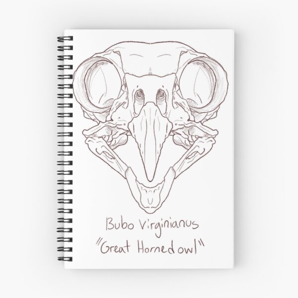 Item preview, Great Horned Owl Skull designed and sold by GrilledRetro.