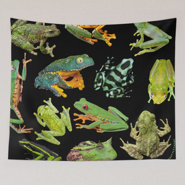 Item preview, Tropical Frogs Collage! Tree-frogs, dart-frogs and more! designed and sold by Crotaluszonata.
