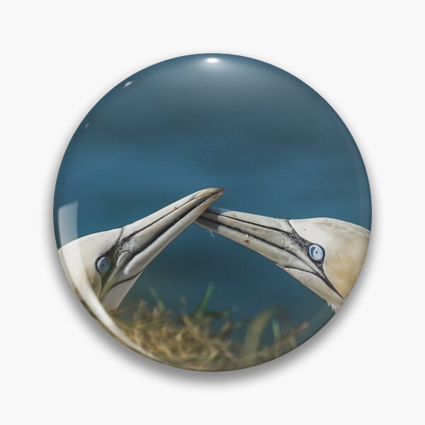 Item preview, Pair of Gannets designed and sold by Jay Mayne.