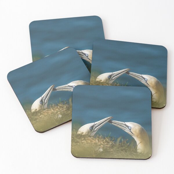 Item preview, Pair of Gannets designed and sold by Jay Mayne.