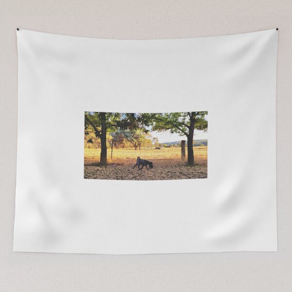 Item preview, Mini Schnauzer en la granja, Australia designed and sold by Kangaroo Sun.