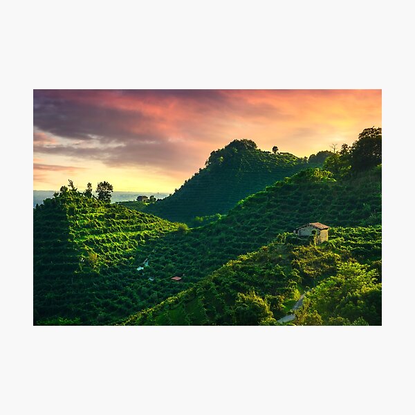 Item preview, Prosecco Hills, vineyards at sunset. Unesco Site. Veneto, Italy designed and sold by Stefano Orazzini.