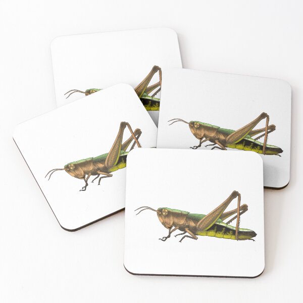 Item preview, Grasshopper  designed and sold by Gastropoid.