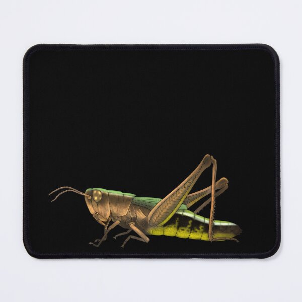 Item preview, Grasshopper designed and sold by Gastropoid.