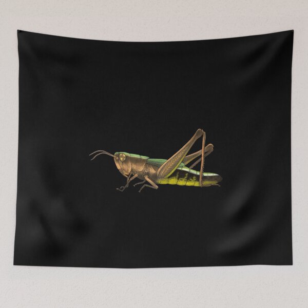 Item preview, Grasshopper  designed and sold by Gastropoid.