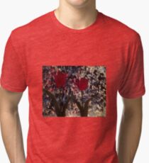 Tulips Tri-blend T-Shirt