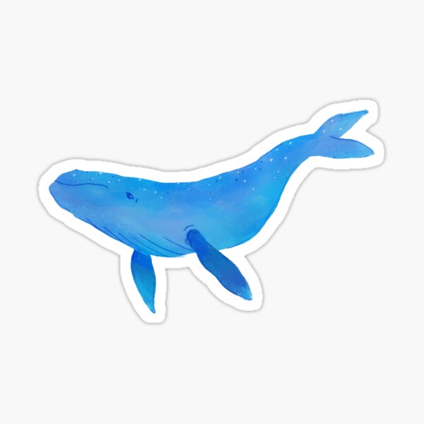 Sea Whale Sticker