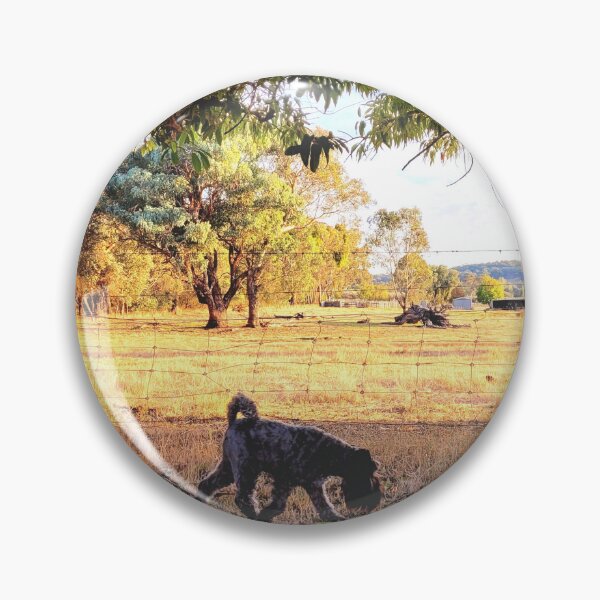 Artikelvorschau, Zwergschnauzer auf der Farm, Australien entworfen und verkauft von Kangaroo Sun.