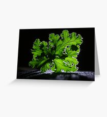 Backlight Greeting Card