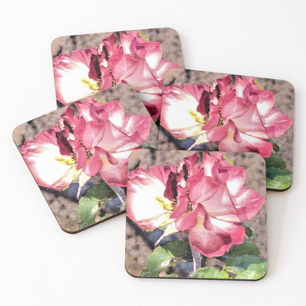 Item preview, nature beautiful pink rose in the garden designed and sold by sadeek1021953Ss.