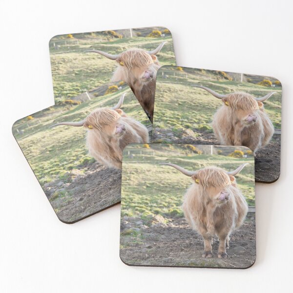 Item preview, Highland Cow with Tongue in Nose designed and sold by DCarlier.