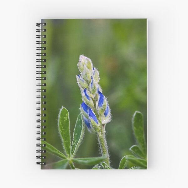Item preview, The Budding Bluebonnet designed and sold by anchorsofhope.