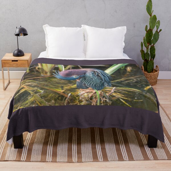 Item preview, Preening Green Heron designed and sold by Debra Martz.