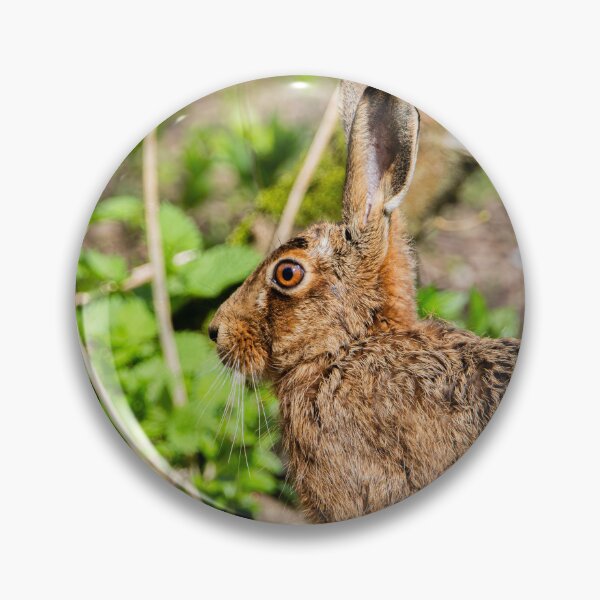 Item preview, Brown Hare designed and sold by MTPhotos1406.