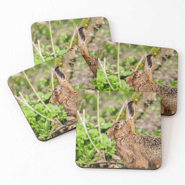 Item preview, Brown Hare designed and sold by MTPhotos1406.