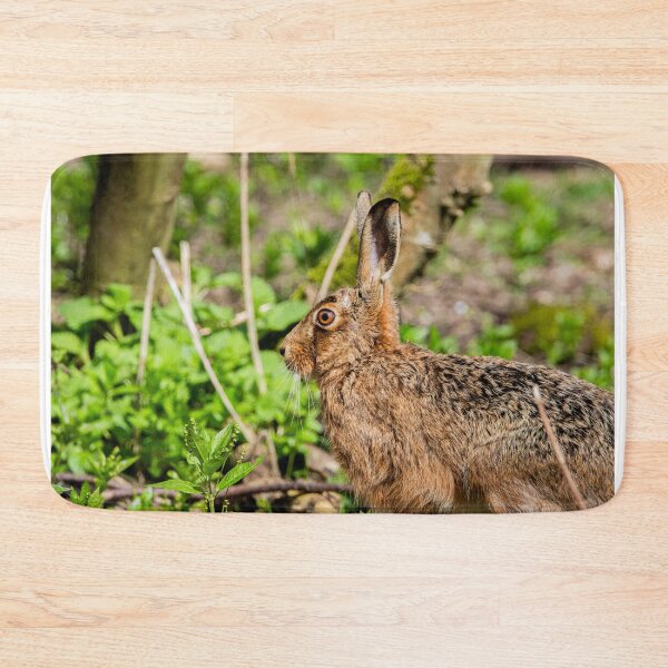 Item preview, Brown Hare designed and sold by MTPhotos1406.