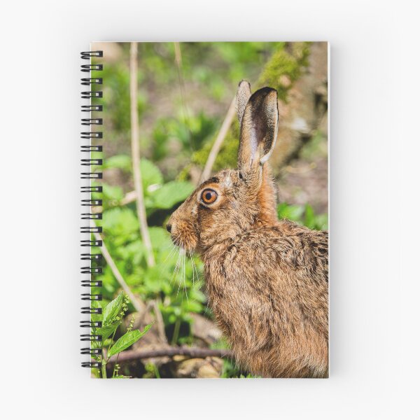 Item preview, Brown Hare designed and sold by MTPhotos1406.