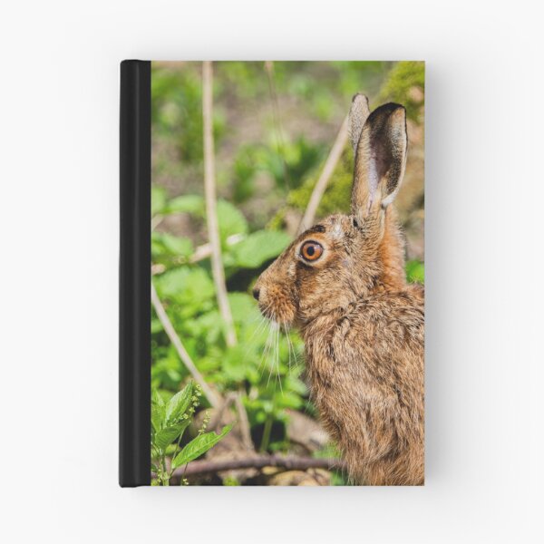 Item preview, Brown Hare designed and sold by MTPhotos1406.