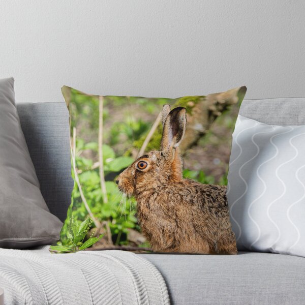 Item preview, Brown Hare designed and sold by MTPhotos1406.