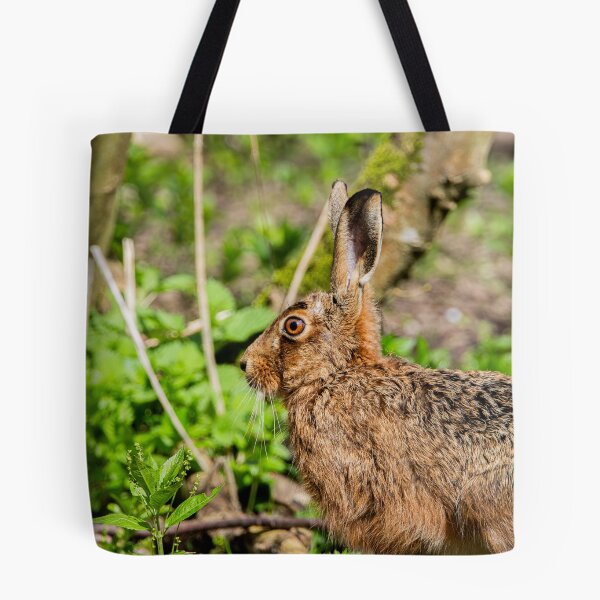 Item preview, Brown Hare designed and sold by MTPhotos1406.