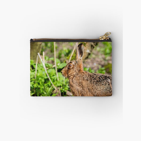 Item preview, Brown Hare designed and sold by MTPhotos1406.
