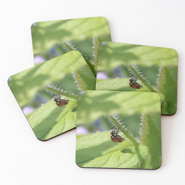 Item preview, Little Lady Bird designed and sold by Vicki Spindler (VHS Photography).
