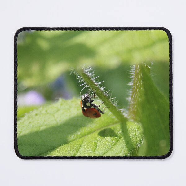 Item preview, Little Lady Bird designed and sold by Vicki Spindler (VHS Photography).