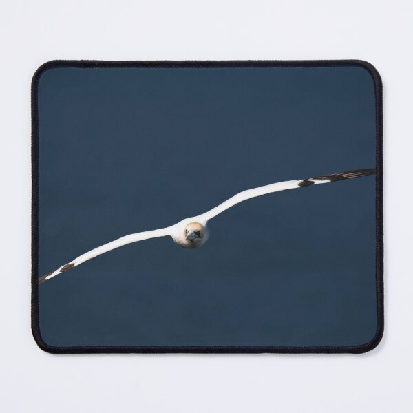 Item preview, Gannet designed and sold by MTPhotos1406.