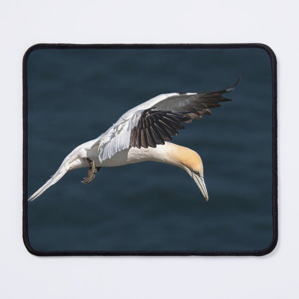 Item preview, Gannet designed and sold by MTPhotos1406.