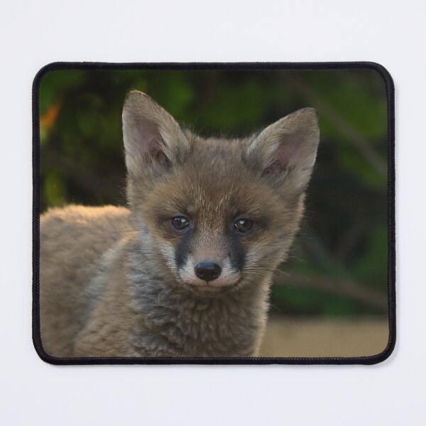 Item preview, Fox Cub designed and sold by ClaireChown.