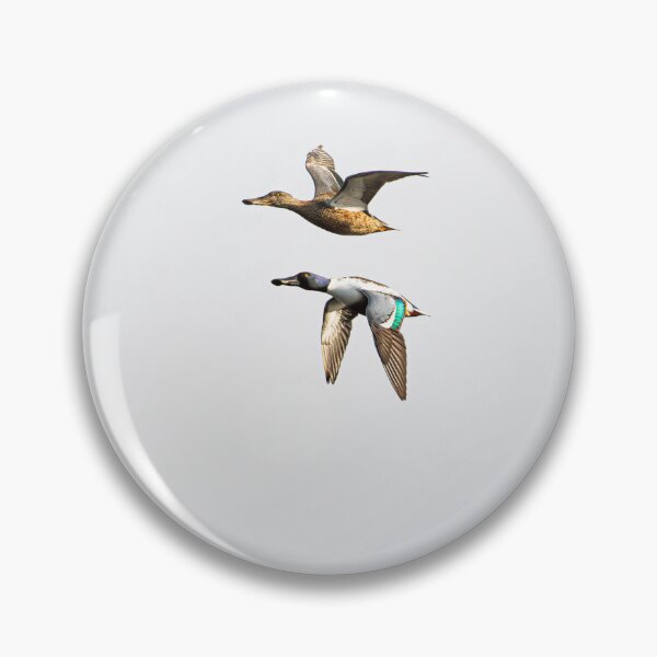 Item preview, Shovler Duck designed and sold by MTPhotos1406.