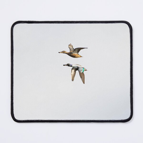 Item preview, Shovler Duck designed and sold by MTPhotos1406.