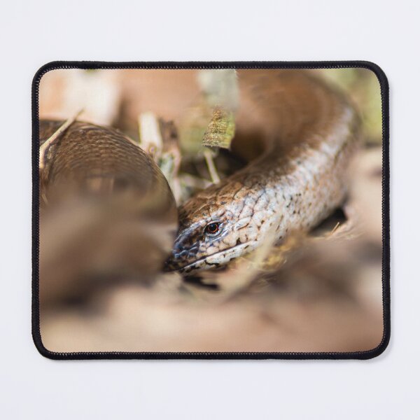 Item preview, Slow Worm designed and sold by MTPhotos1406.