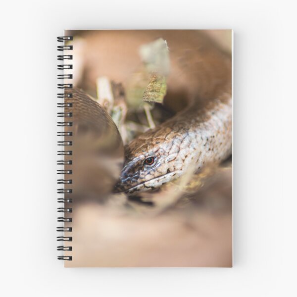 Item preview, Slow Worm designed and sold by MTPhotos1406.